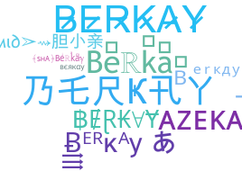 उपनाम - Berkay