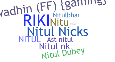 उपनाम - Nitul