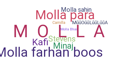 उपनाम - Molla