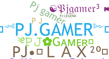 उपनाम - PJgamer