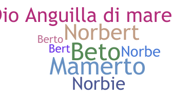 उपनाम - Norberto