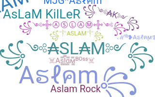 उपनाम - Aslam