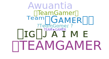 उपनाम - TeamGamer