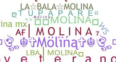 उपनाम - Molina