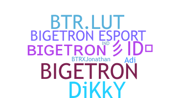 उपनाम - Bigetron