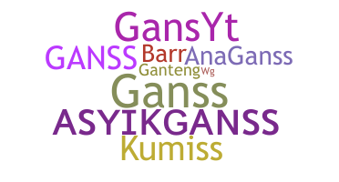 उपनाम - GansS