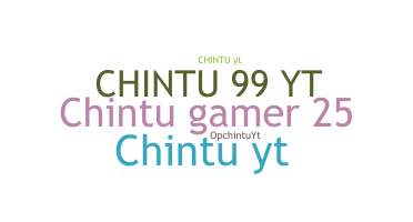 उपनाम - Chintuyt