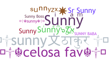 उपनाम - SunnyZx