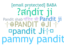 उपनाम - Panditji