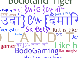उपनाम - Bodoland