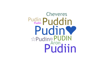 उपनाम - pudin