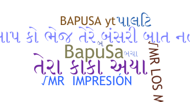 उपनाम - Bapusa