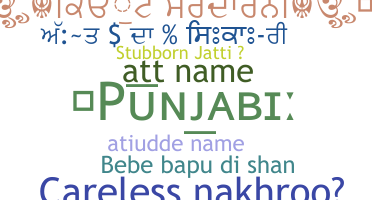 उपनाम - Punjabi