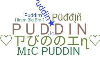 उपनाम - Puddin