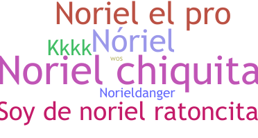 उपनाम - Noriel