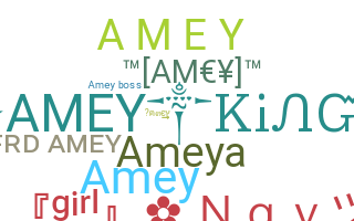 उपनाम - AmeY