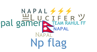 उपनाम - Napal