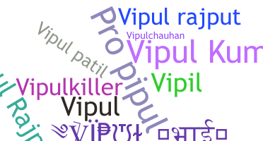 उपनाम - Vipulbhai