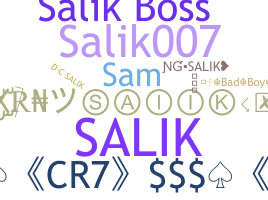 उपनाम - Salik