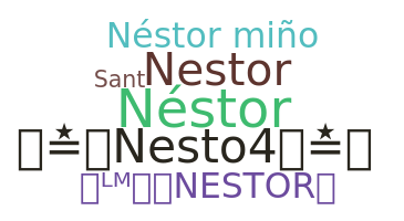 उपनाम - Nstor