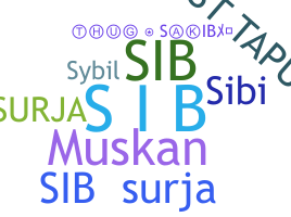 उपनाम - SiB