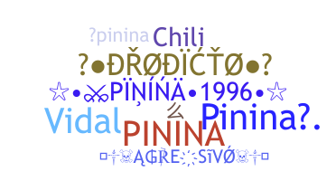 उपनाम - Pinina