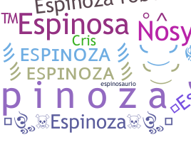 उपनाम - Espinoza