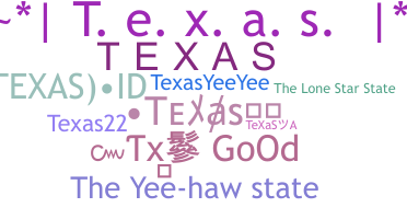उपनाम - Texas