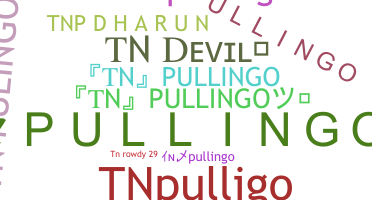 उपनाम - TNpullingo