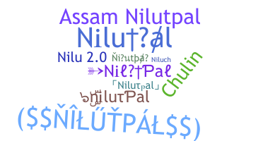 उपनाम - nilutpal