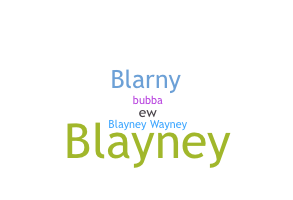 उपनाम - Blayne