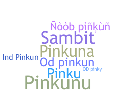 उपनाम - pinkun