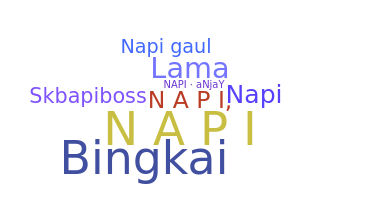उपनाम - napi