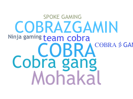 उपनाम - CobraGang