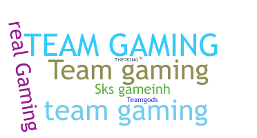 उपनाम - TeamGaming