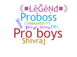 उपनाम - ProBoss