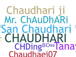 उपनाम - Chaudhari