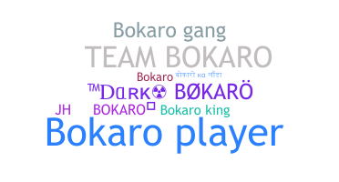 उपनाम - bokaro