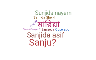 उपनाम - Sanjida
