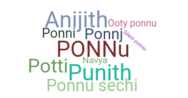 उपनाम - Ponnu