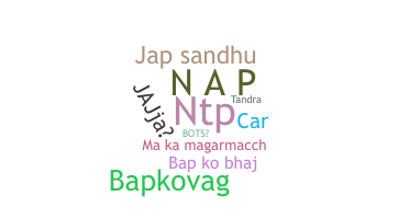 उपनाम - NAP