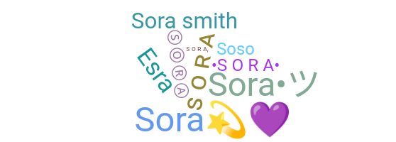 उपनाम - Sora