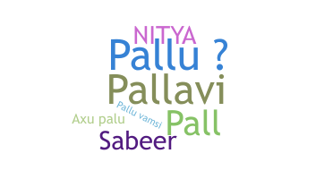 उपनाम - Pallu