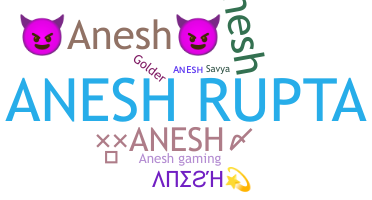उपनाम - Anesh