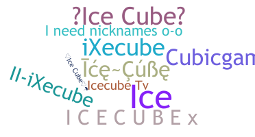 उपनाम - icecube