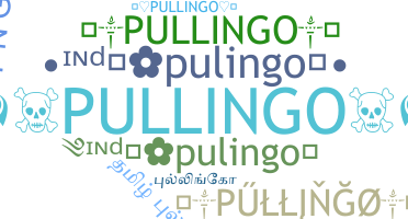 उपनाम - Pullingo