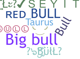 उपनाम - BuLL