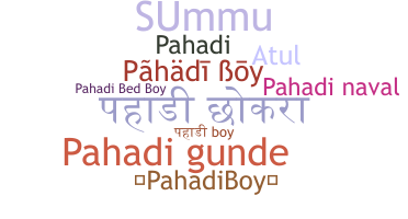 उपनाम - Pahadiboy