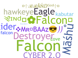 उपनाम - Falcons