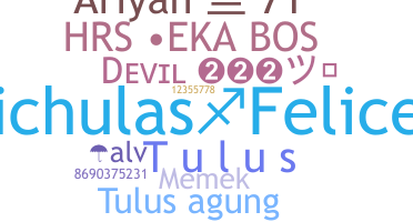 उपनाम - Tulus